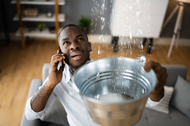 Best Water damage cleanup near me  in Bremerton, WA