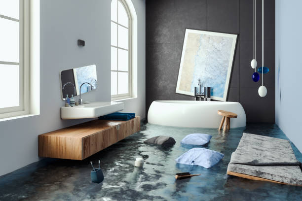 Best Professional water damage repair  in Bremerton, WA