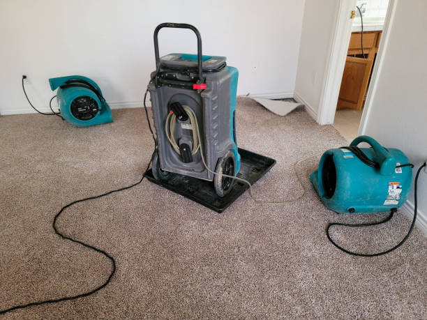 Best Mold removal after water damage  in Bremerton, WA
