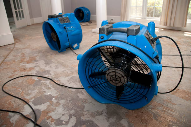 24/7 water damage repair in Bremerton, WA