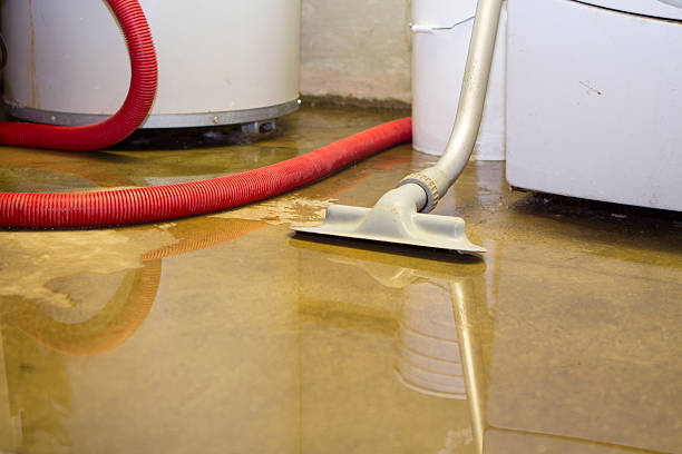Best Sewage cleanup and water damage restoration  in Bremerton, WA
