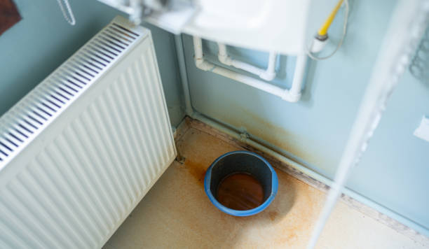 Best Water damage restoration near me  in Bremerton, WA