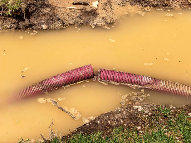 Trusted Bremerton, WA Water damage restoration Experts